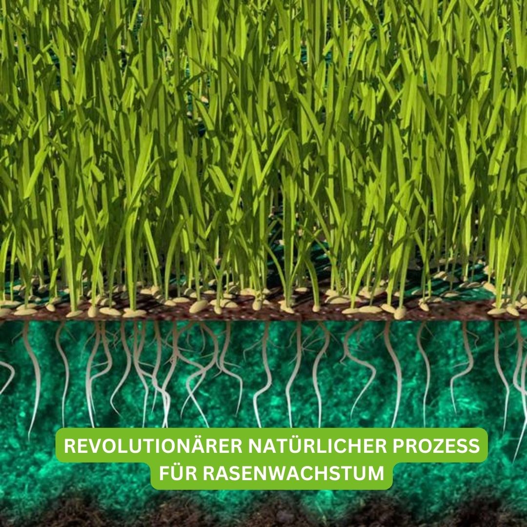 TurboGras – Seeds for a Fast-Growing, Healthy Lawn