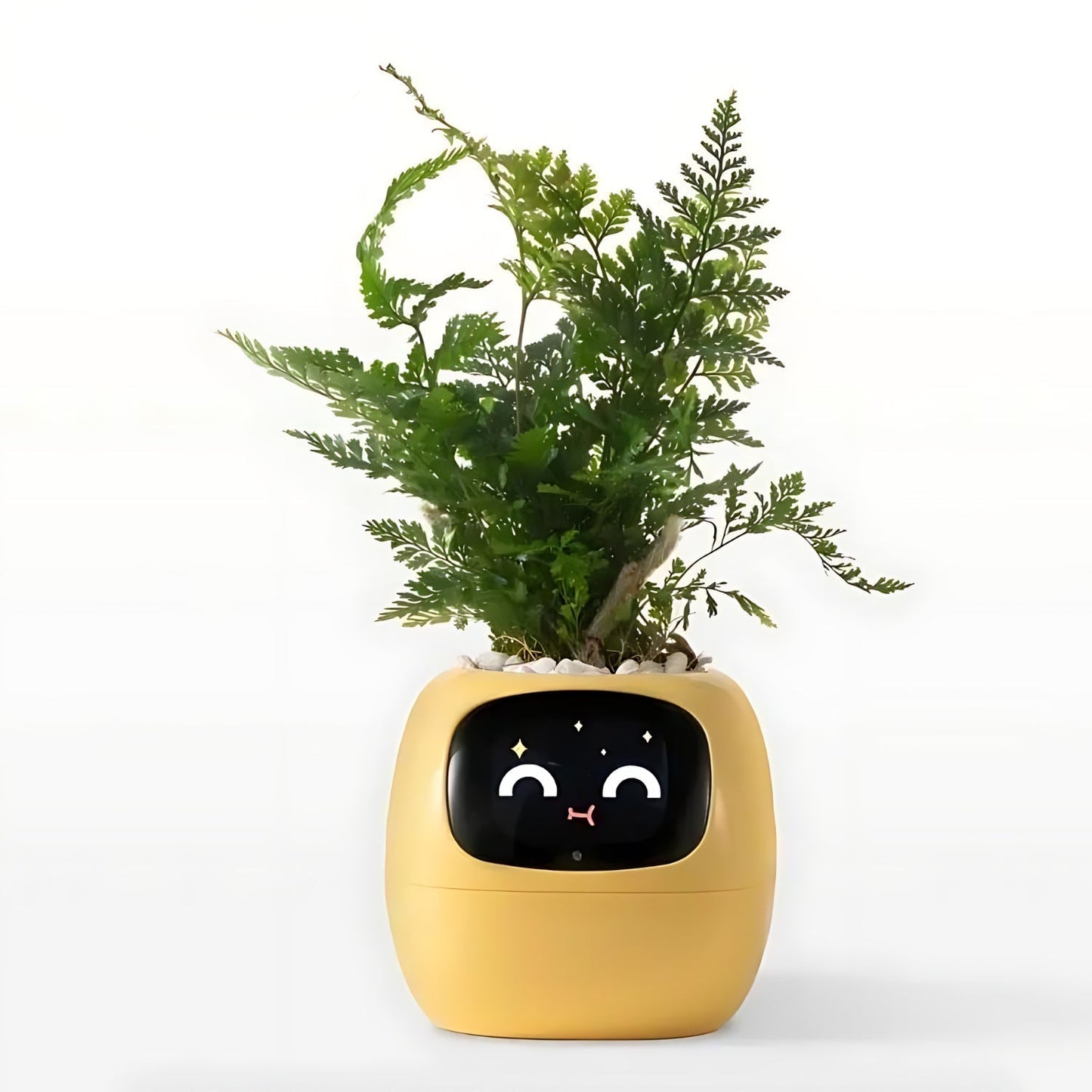 SMART Blomsterkrukke til automatisk plantepleje