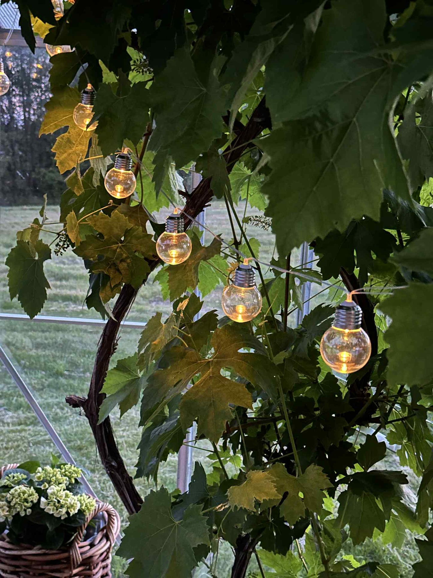 Solcelledriven LED-lysslinga