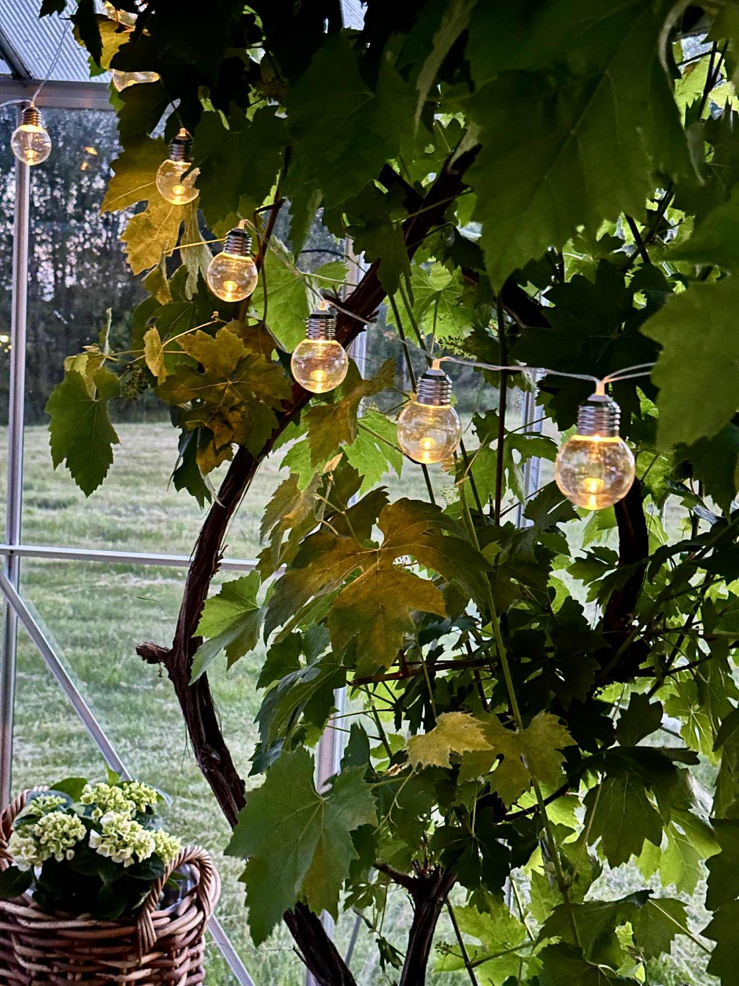 Solcelledriven LED-lysslinga