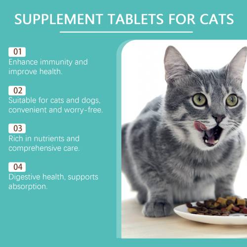 Probiotiske tabletter til katte