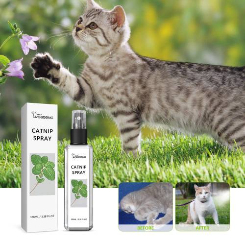 Kattemynte-spray