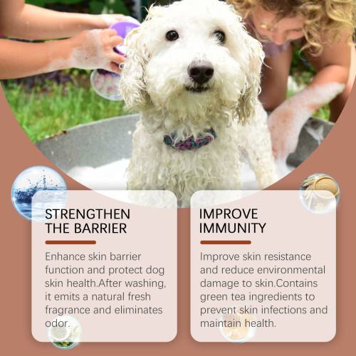 Mild hundeshampoo