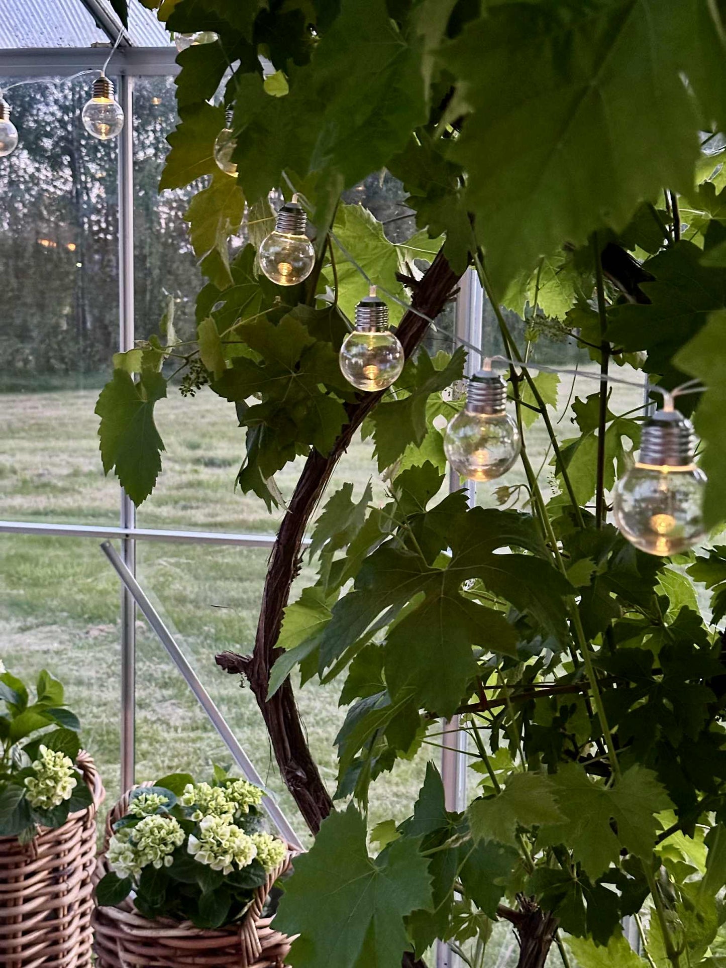 Solcelledriven LED-lysslinga