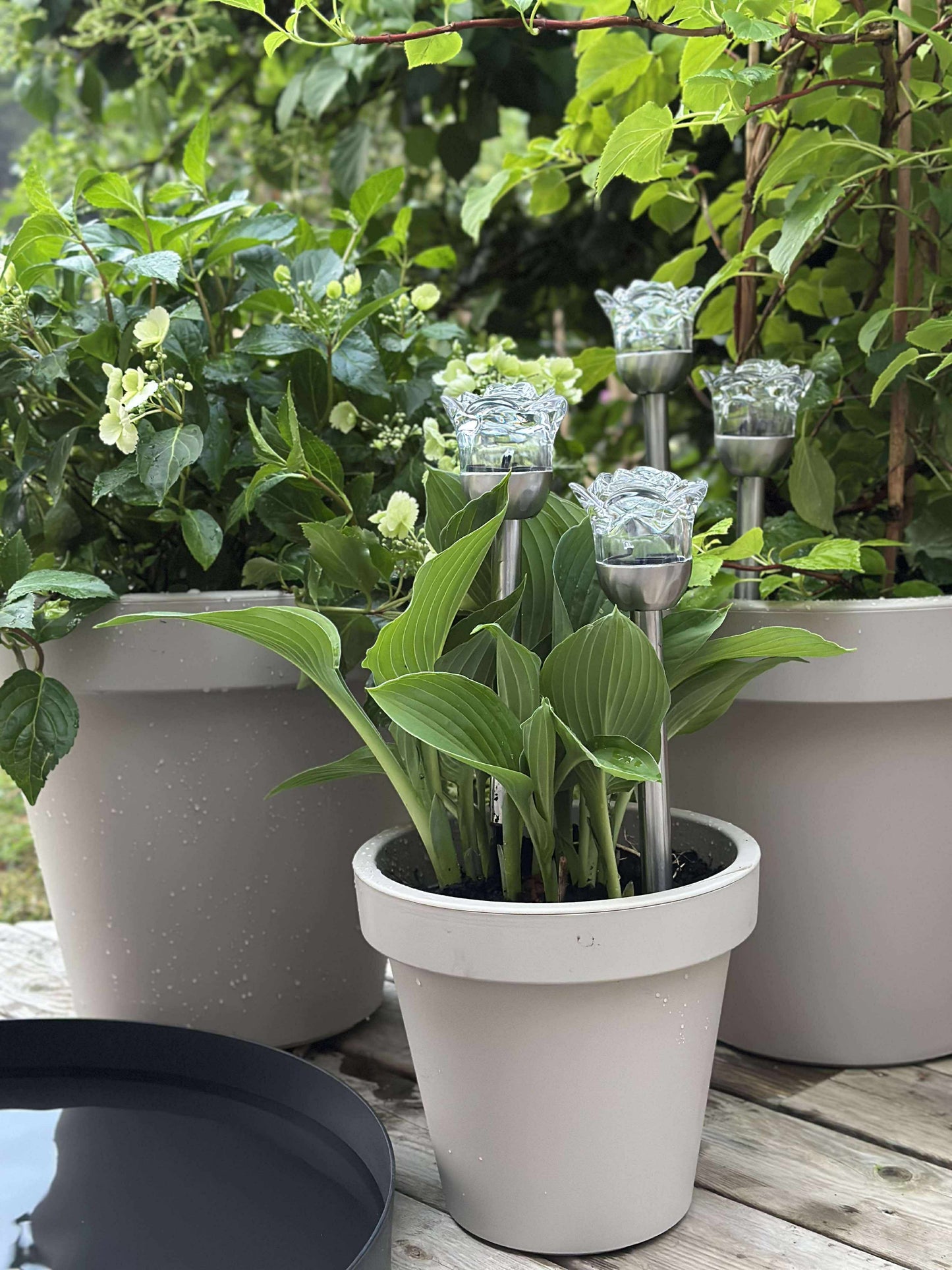 Solcelleblomstfakkel