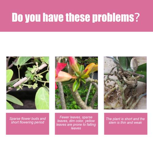 Ørkenrose 3-1-2 flydende gødning