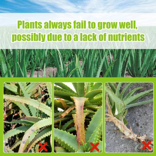 Aloe vera 3-1-2 flydende gødning