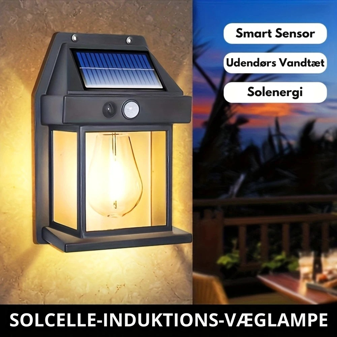 Intelligent Solar Wall Light