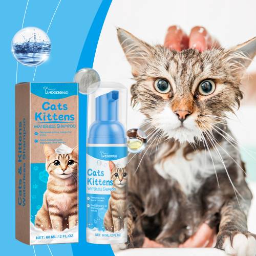 Katte-renseskum