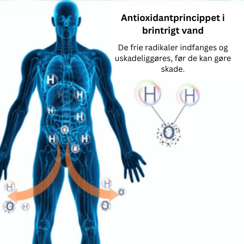 Bæredygtigt, billigt, sundt og sprudlende vand!