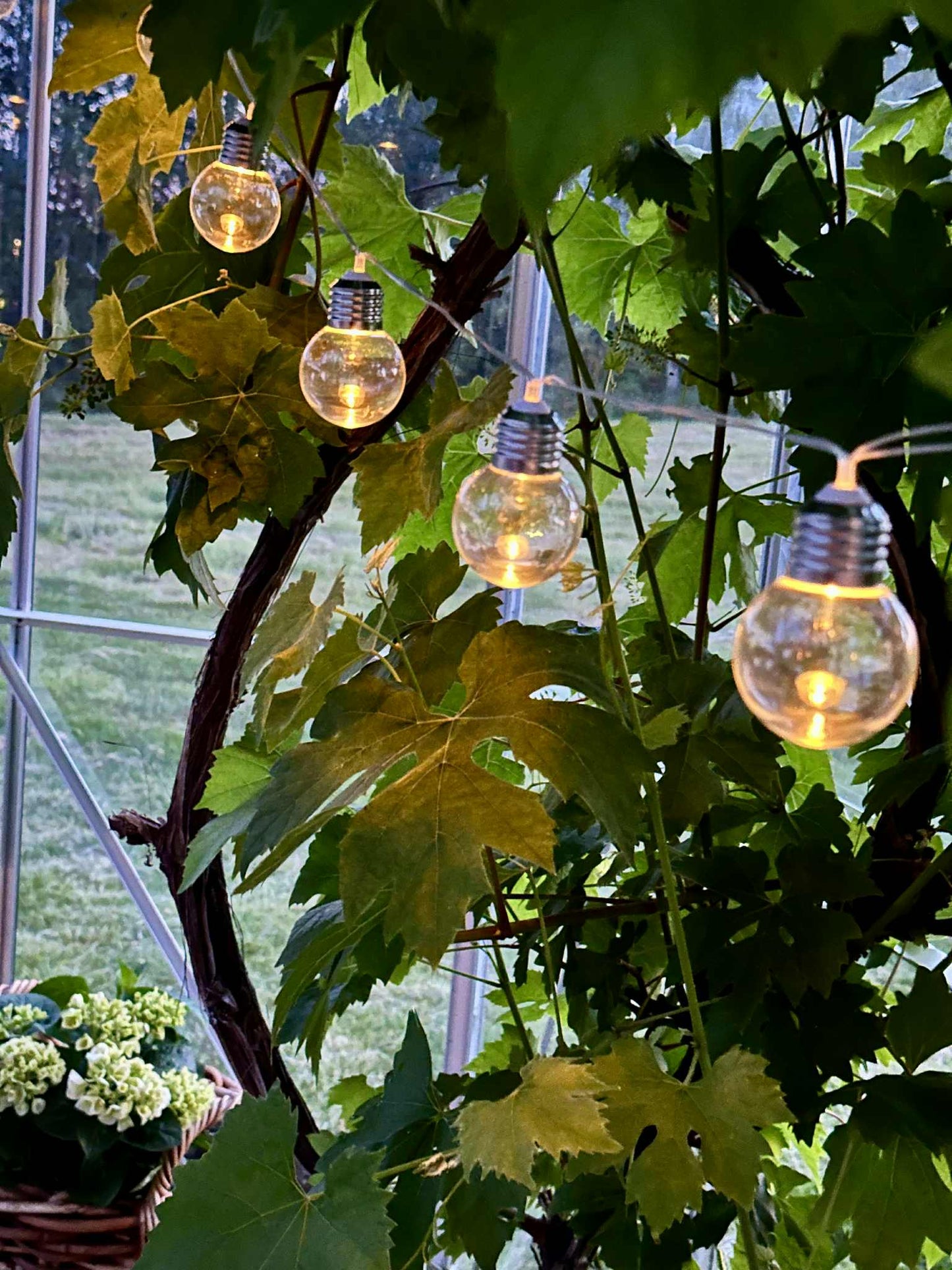 Solcelledriven LED-lysslinga
