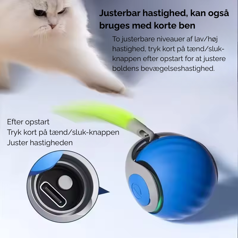Bring uendelig glæde til din kat - selv når du ikke er hjemme!
