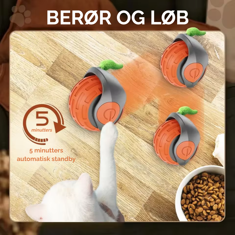 Bring uendelig glæde til din kat - selv når du ikke er hjemme!