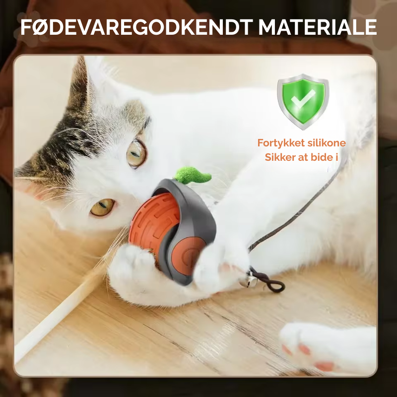 Bring uendelig glæde til din kat - selv når du ikke er hjemme!