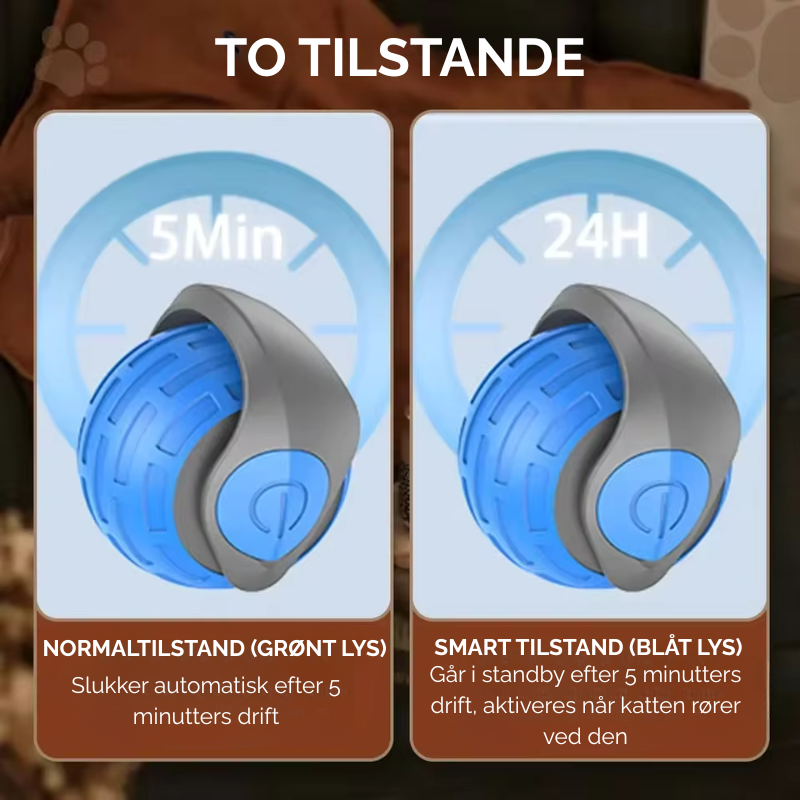 Bring uendelig glæde til din kat - selv når du ikke er hjemme!
