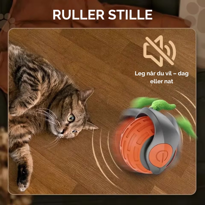 Bring uendelig glæde til din kat - selv når du ikke er hjemme!