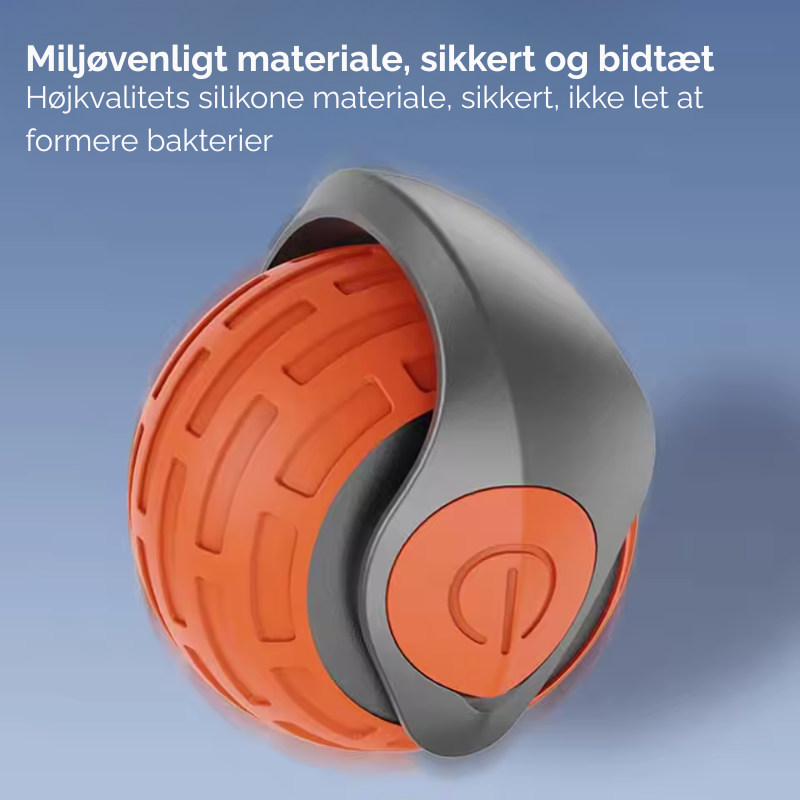 Bring uendelig glæde til din kat - selv når du ikke er hjemme!