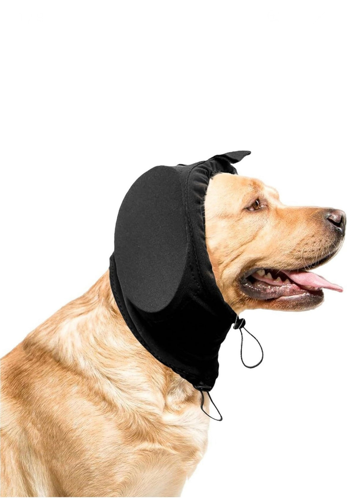 Beskytter hunde mod høje lyde