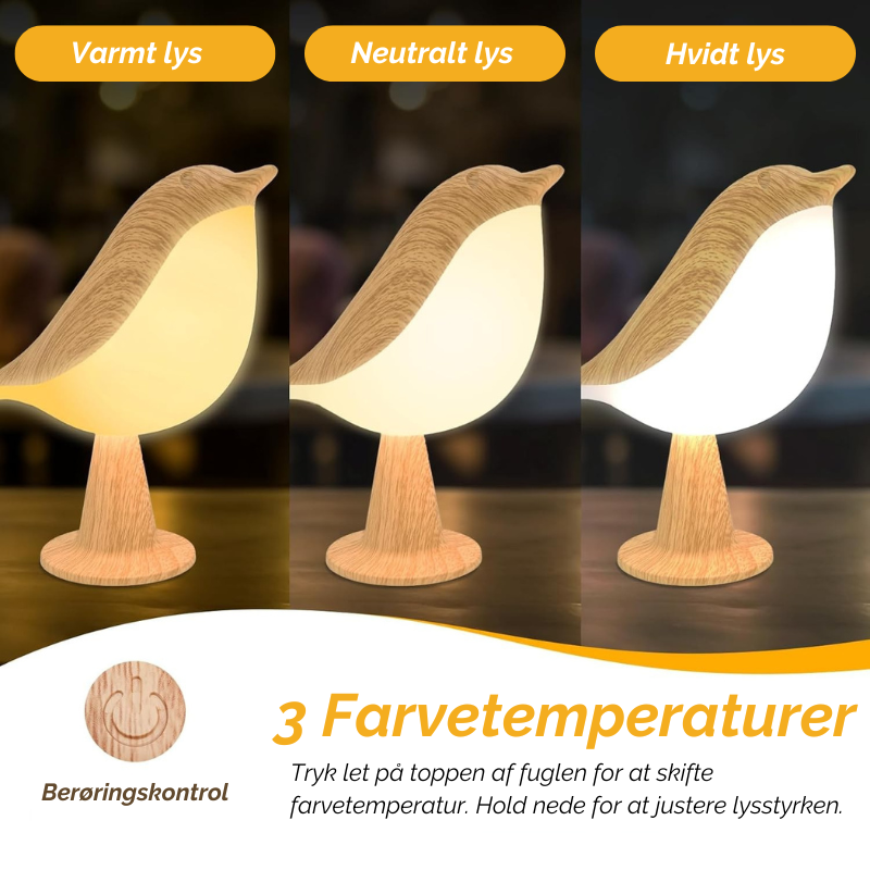 Bring lys og forundring til ethvert rum