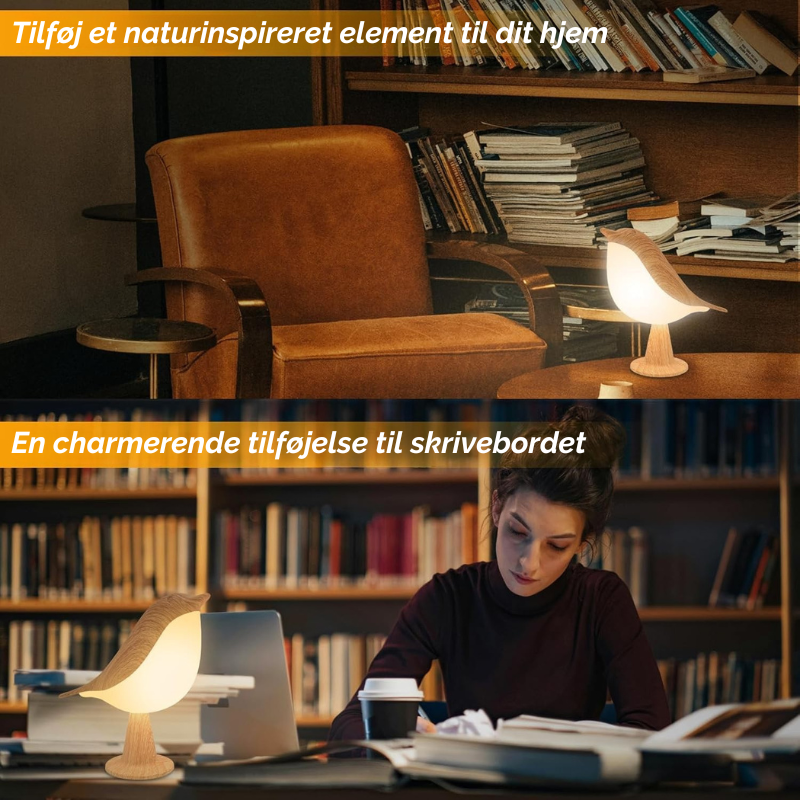 Bring lys og forundring til ethvert rum