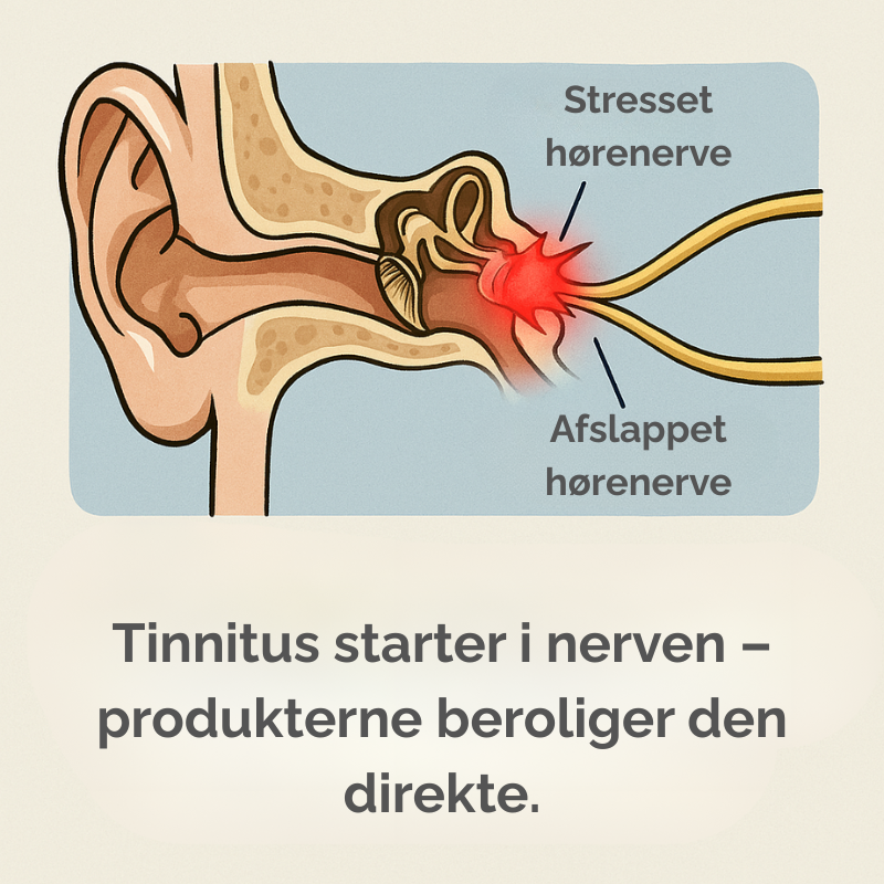 Reducerer inflammation, forbedrer hørelsen