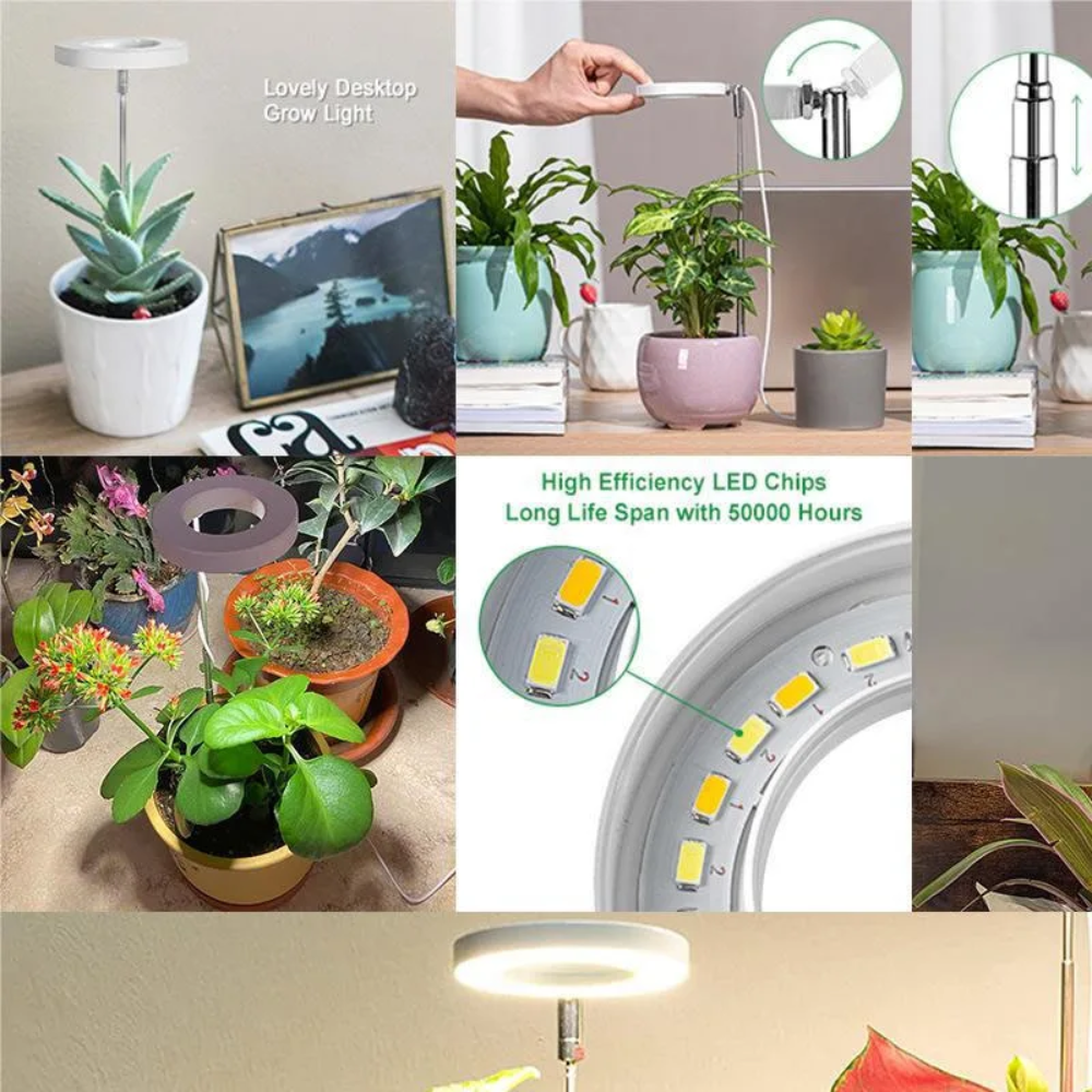 Ledsen™ PlantLamp: Justerbar Indendørs LED Vækst Lys Plante Lampe