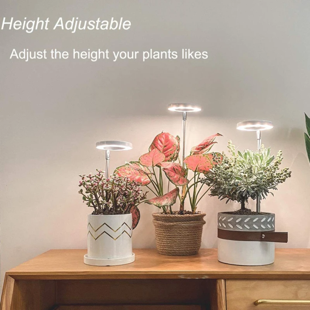 Ledsen™ PlantLamp: Justerbar Indendørs LED Vækst Lys Plante Lampe