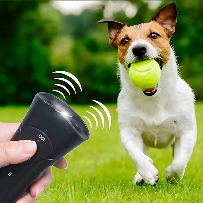 Træn din hund så let som 1,2,3!