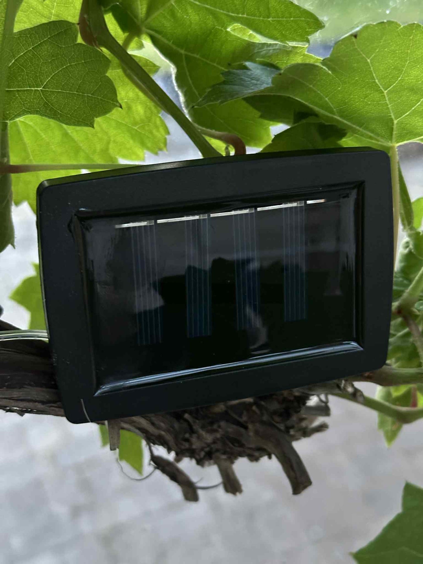 Solcelledriven LED-lysslinga