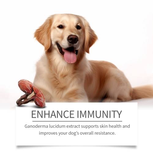 Urte hundehud-rensecreme