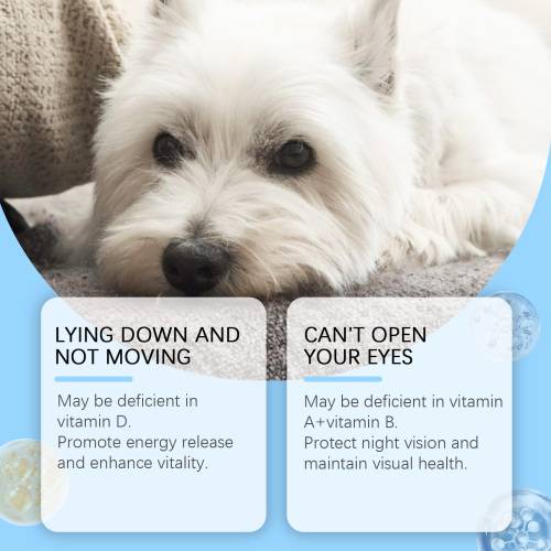 Multivitamintabletter til hunde