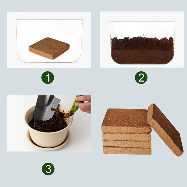 Økologiske Kokosfibre til Planter