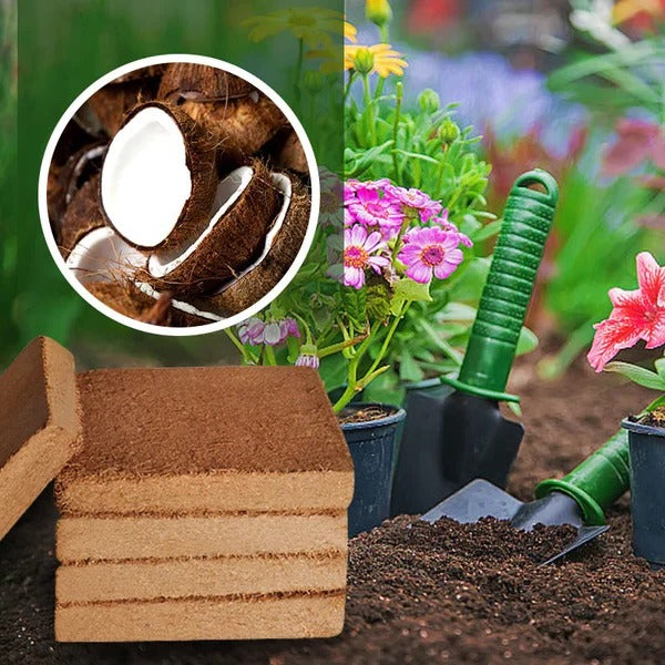Økologiske Kokosfibre til Planter