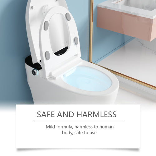 Toilet-snavsrens