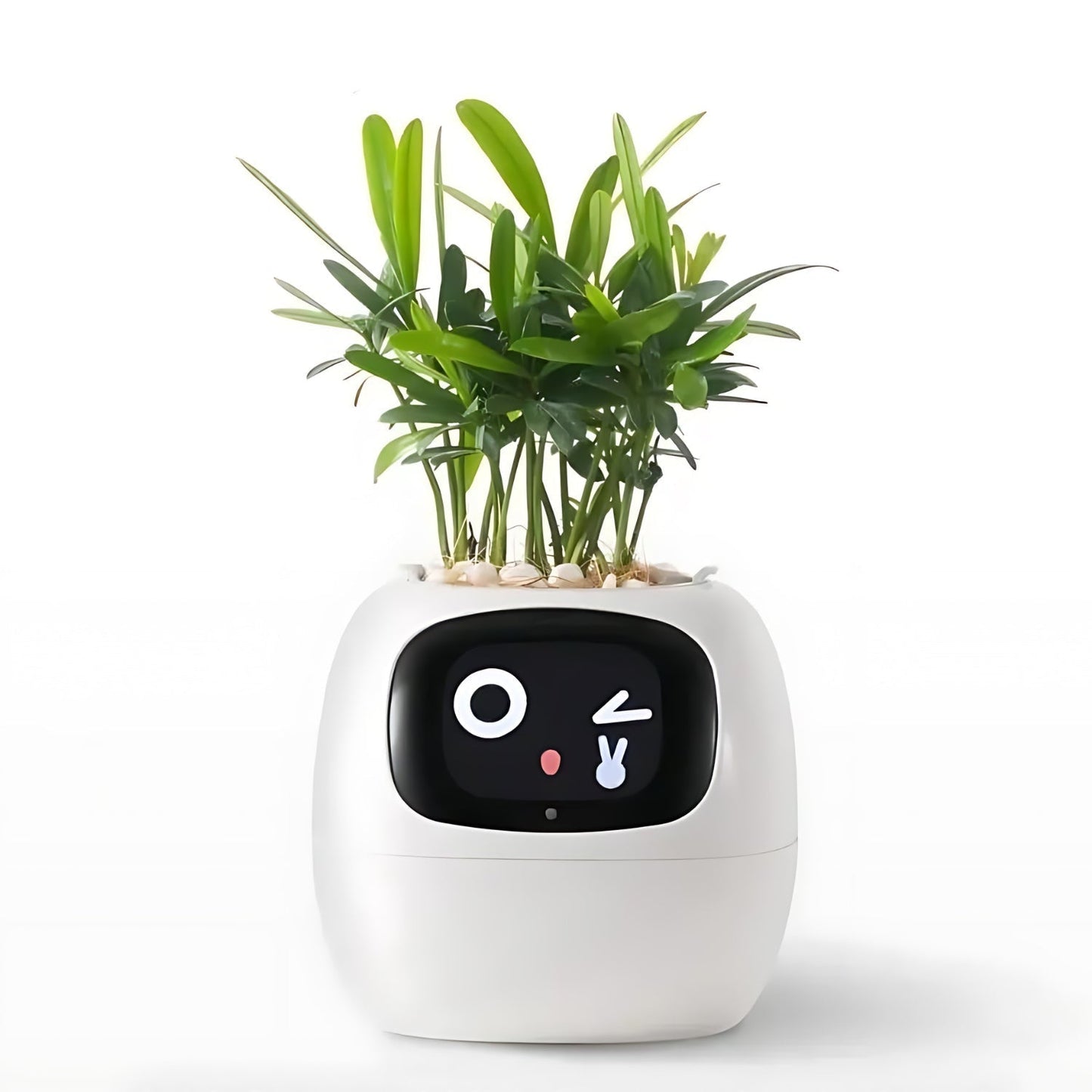 SMART Blomsterkrukke til automatisk plantepleje