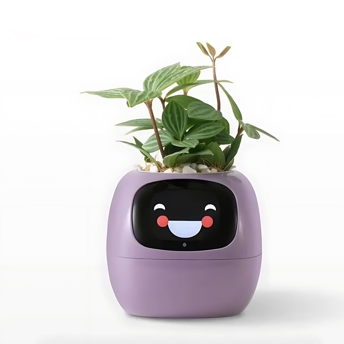 SMART Blomsterkrukke til automatisk plantepleje