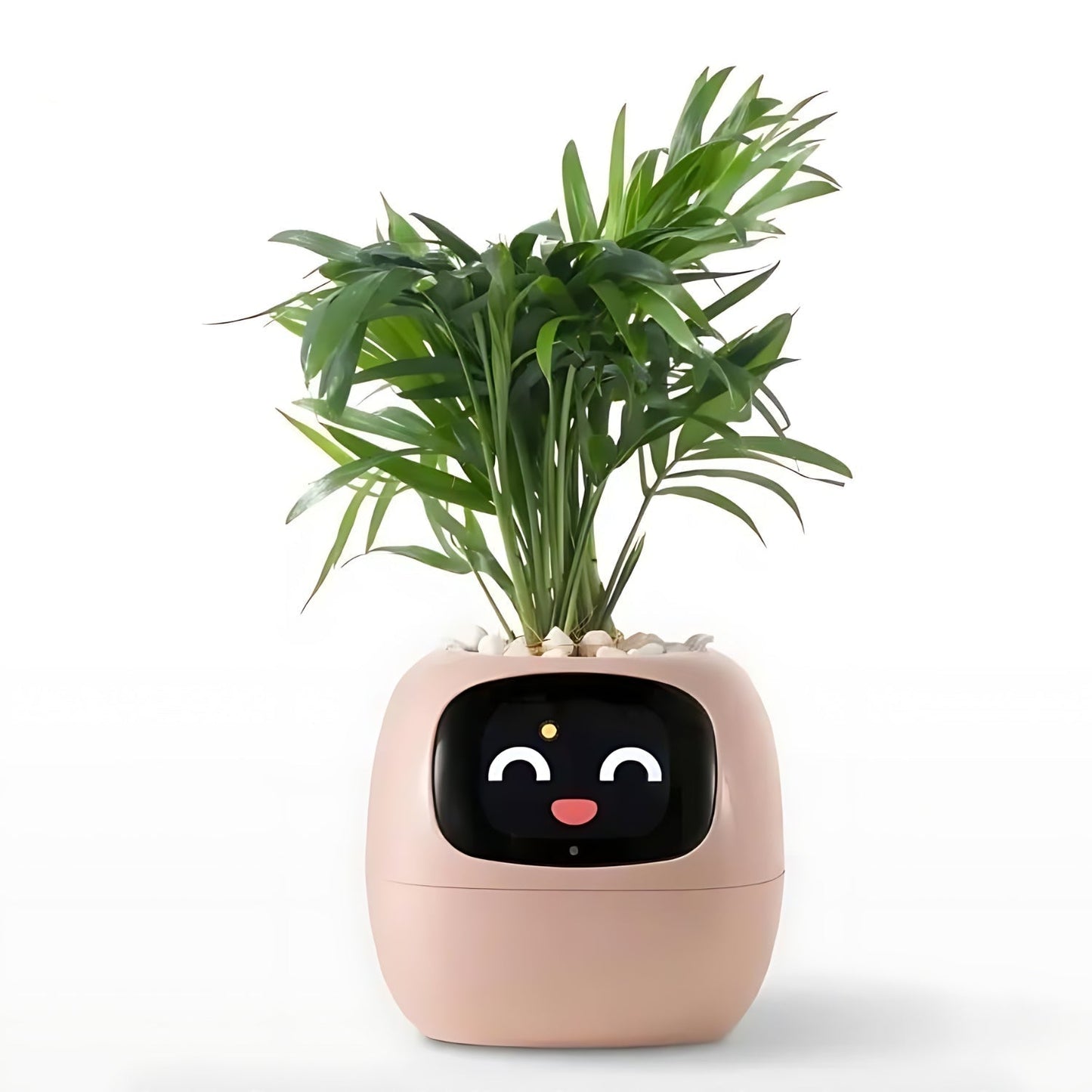 SMART Blomsterkrukke til automatisk plantepleje