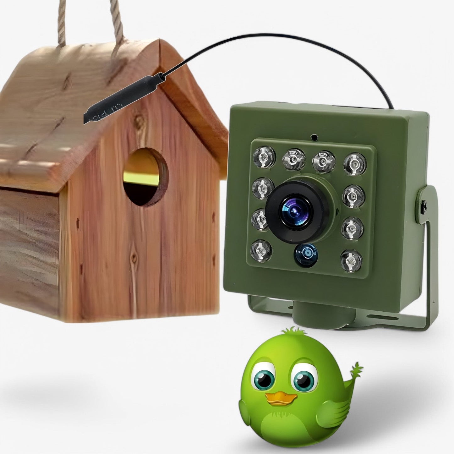 WLAN-Kamera – 1080p HD & Vejrbestandig til imponerende fuglekiggeri
