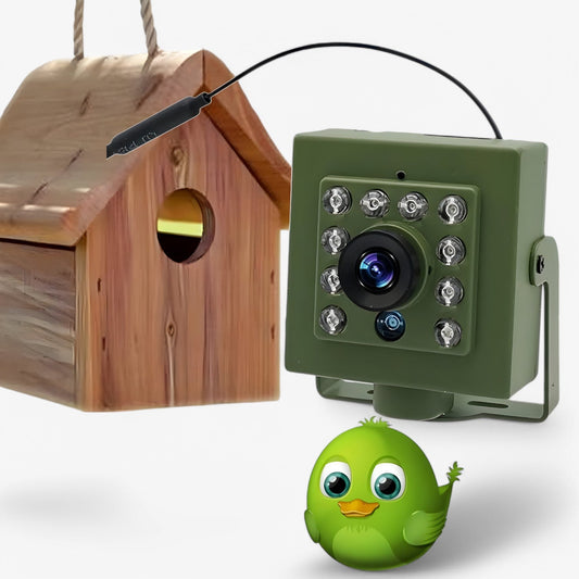 WLAN-Kamera – 1080p HD & Vejrbestandig til imponerende fuglekiggeri