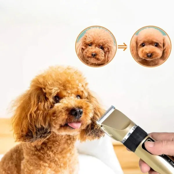 Hundeklippersæt – Rolig og Komfortabel Pleje