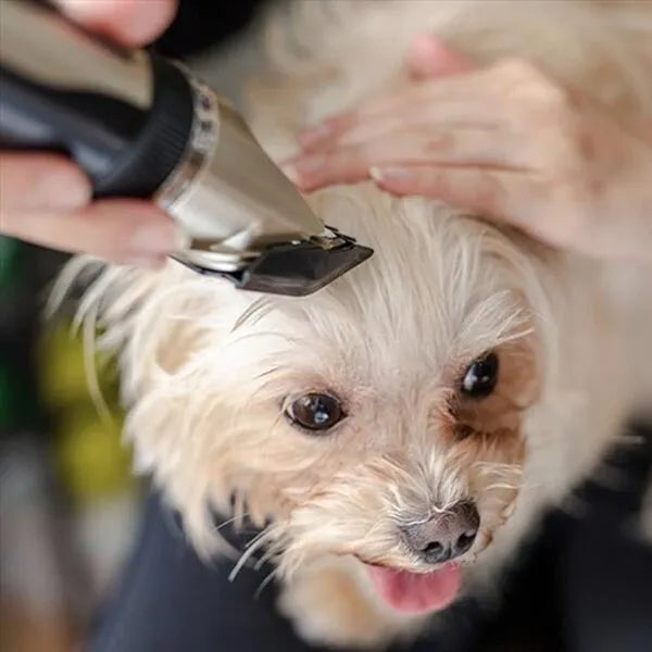 Hundeklippersæt – Rolig og Komfortabel Pleje