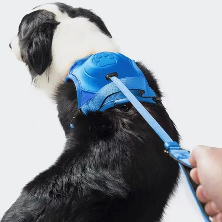 Holdbar og Komfortabel Hundesnor