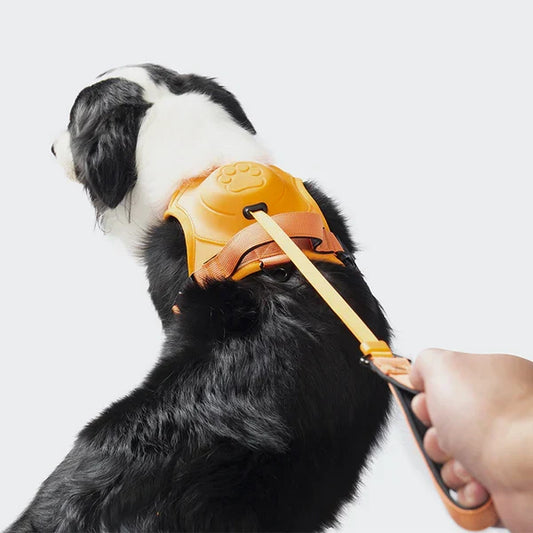 Holdbar og Komfortabel Hundesnor