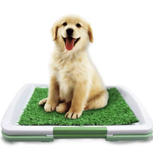 Hundetoilet – Komfortabel og Stabil Brug