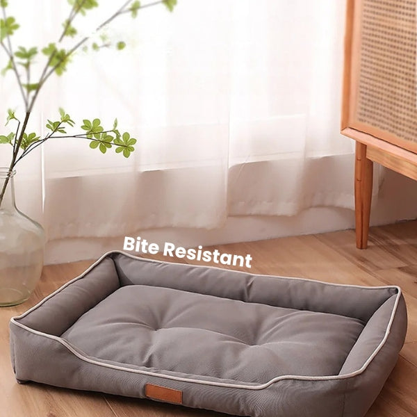Kæledyrsseng – Ergonomisk Design for Sund Søvn