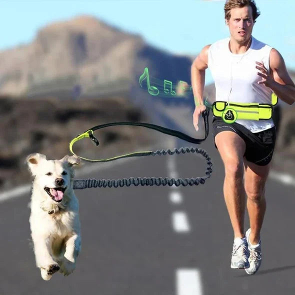Håndfri Løbelinje – Komfortabel Motion med Din Hund
