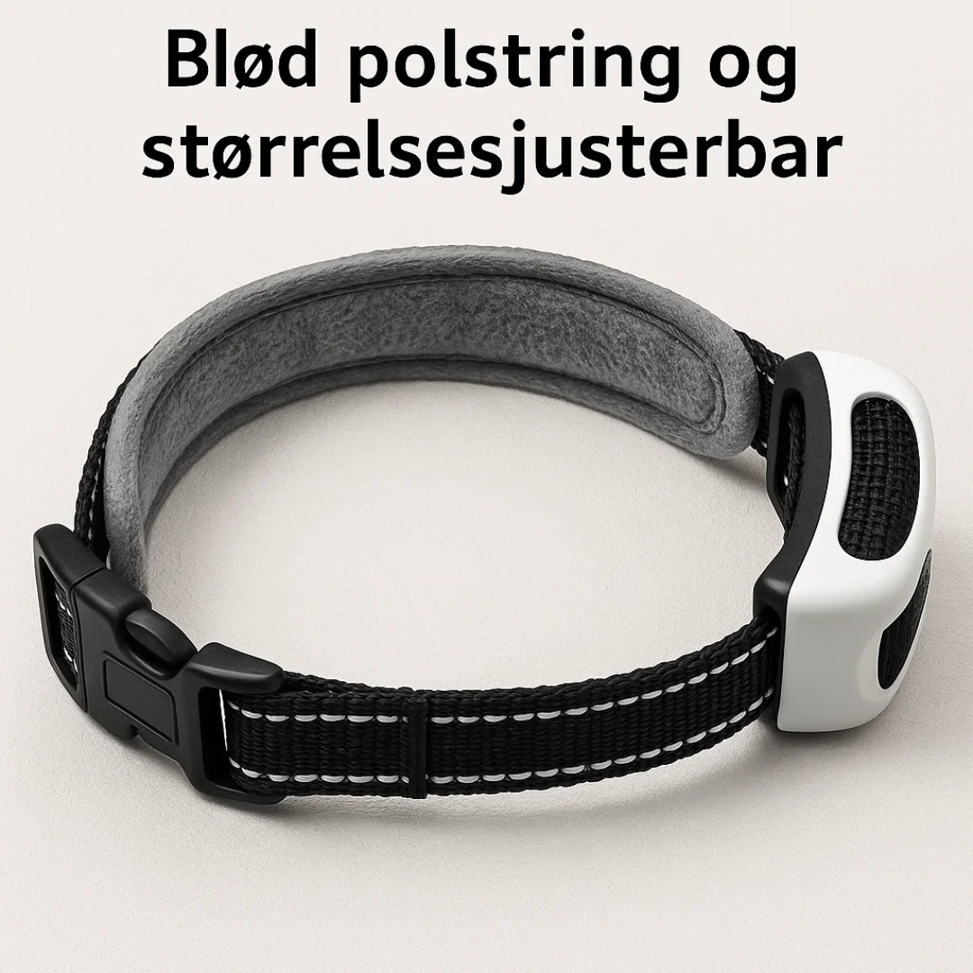 Avanceret Trådløst Hundesikringssystem